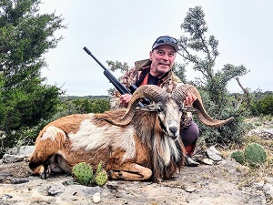 Texas ram hunts